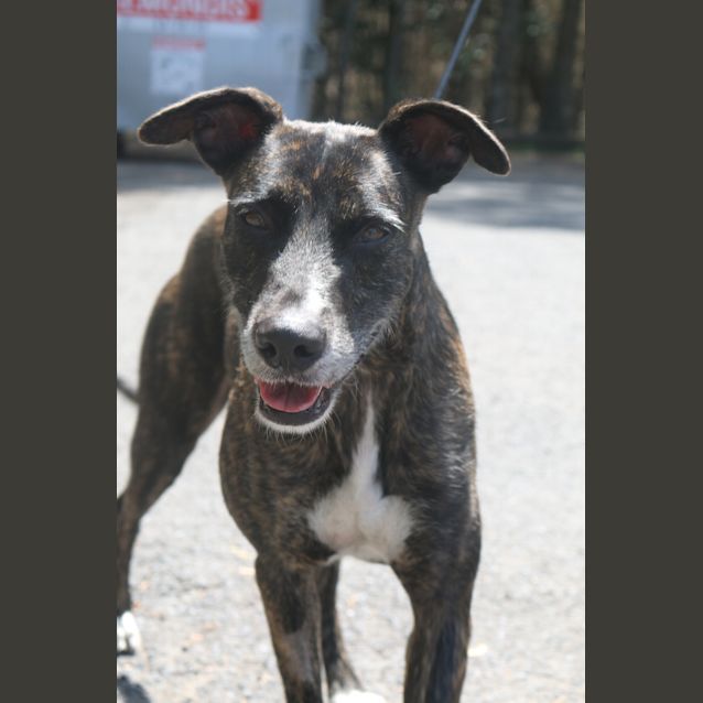 Photo of Penny