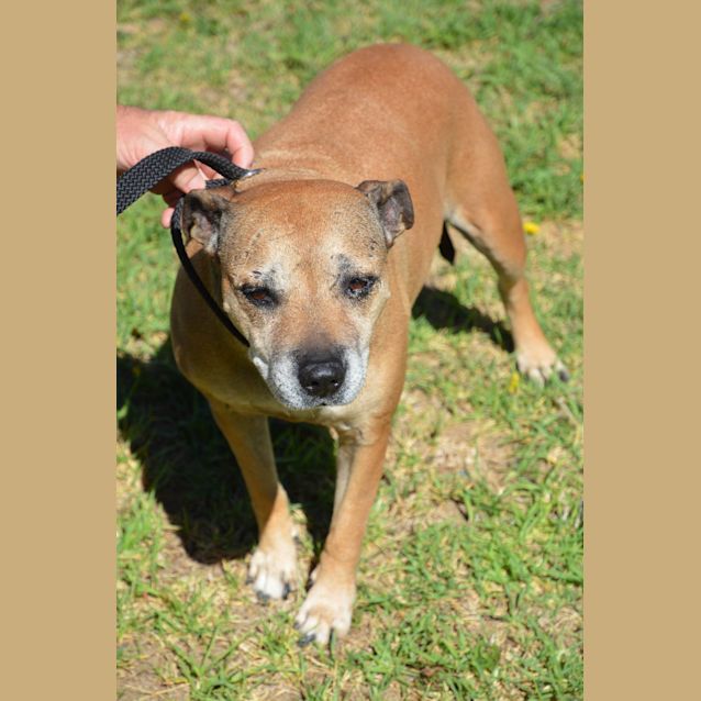 Photo of Maddie Dl1815