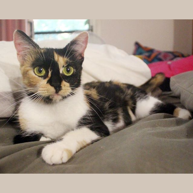 Photo of Isla 