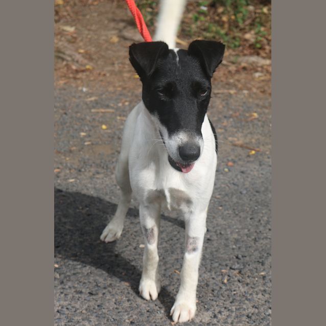 Photo of Patches