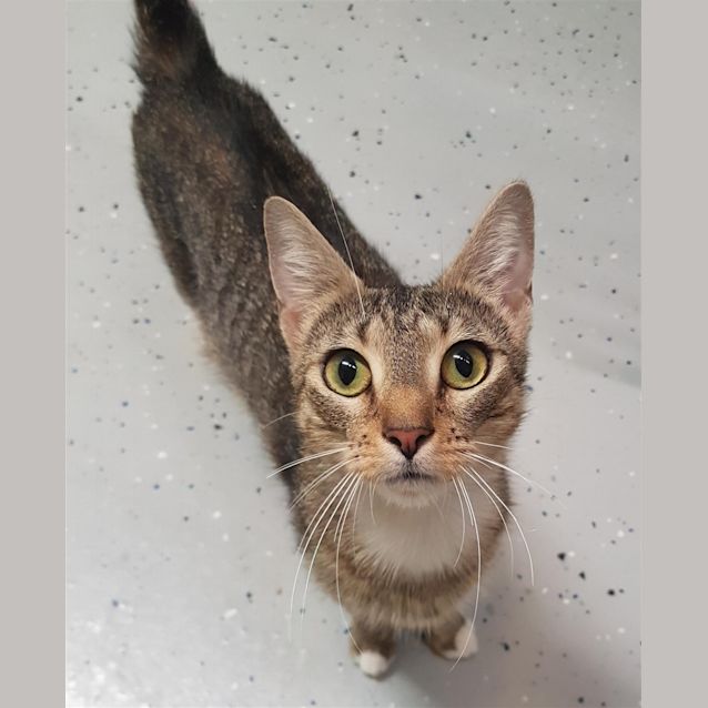 Photo of Opera