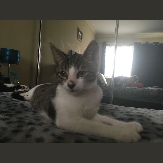 Photo of Snowy