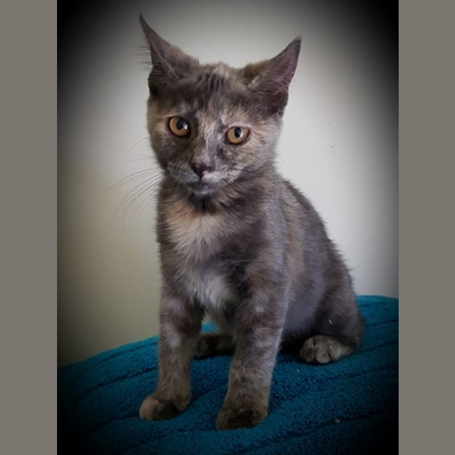 Photo of Rowena