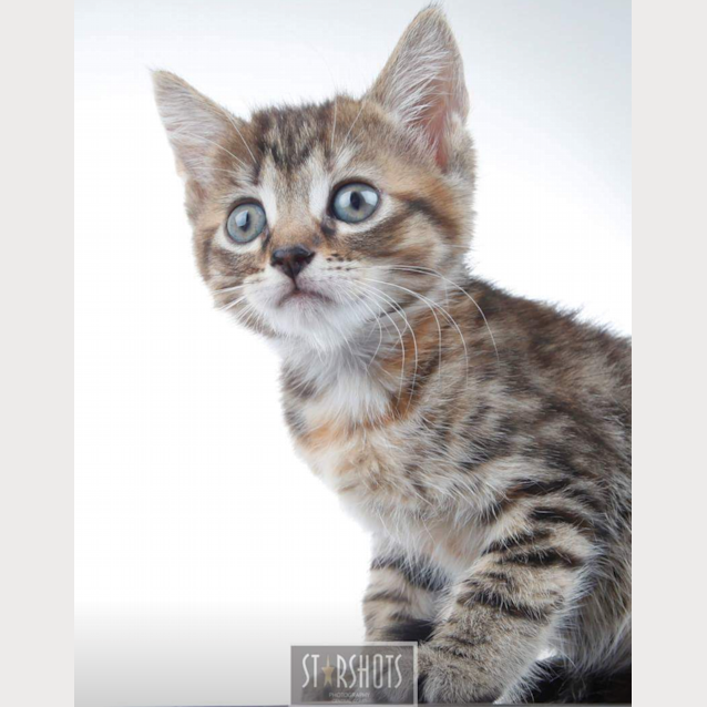 Photo of Lulu