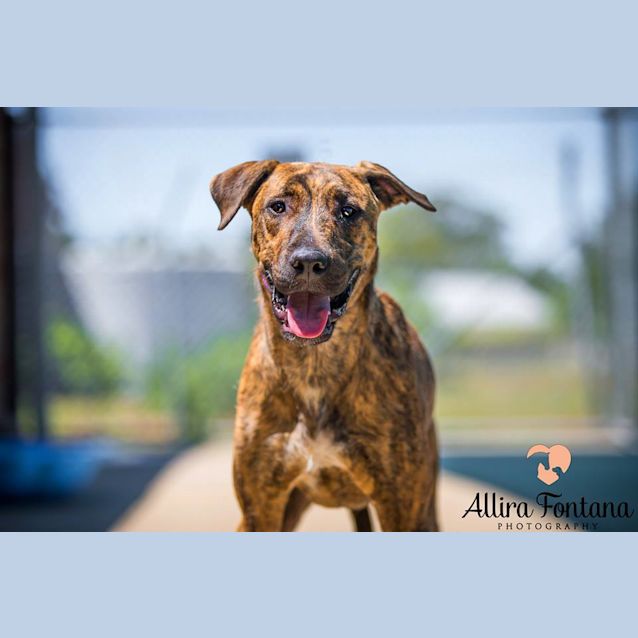 Photo of Peter ((Pcc 62)