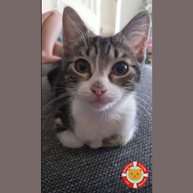Photo of Mavis 