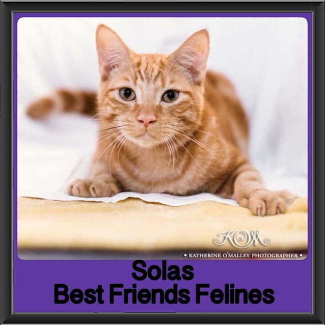 Photo of Solas 