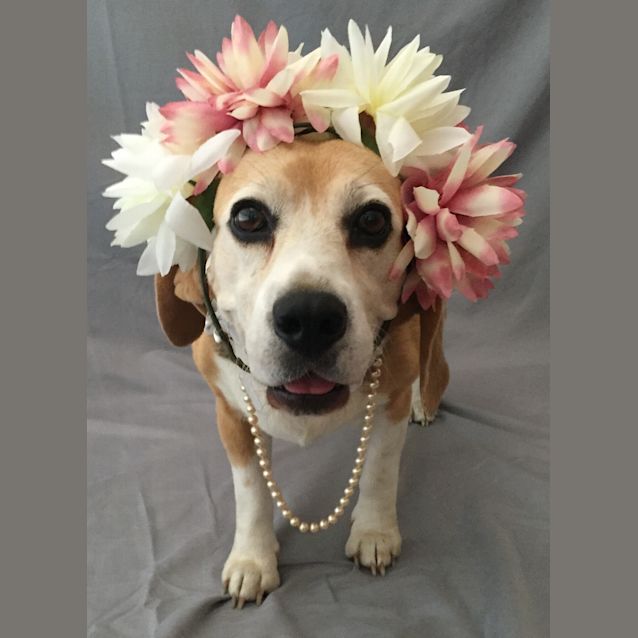 Photo of Peggy