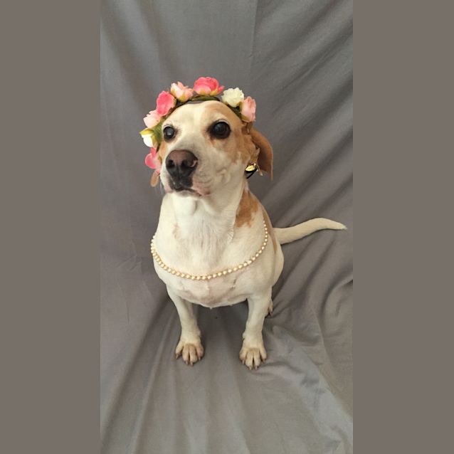 Photo of Molly