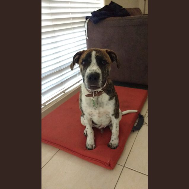 Photo of Diego