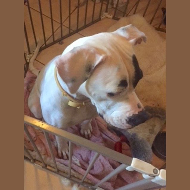 Photo of Janette Be D45129