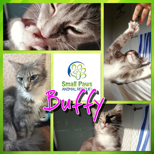 Photo of Buffy