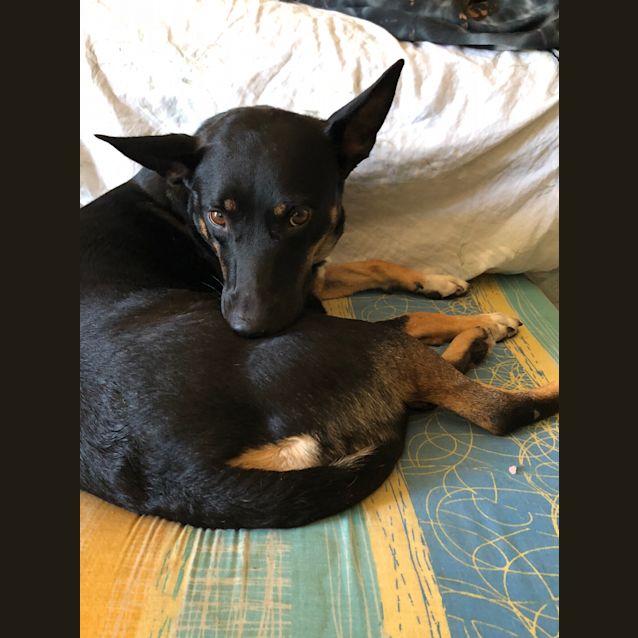 Photo of Sookie