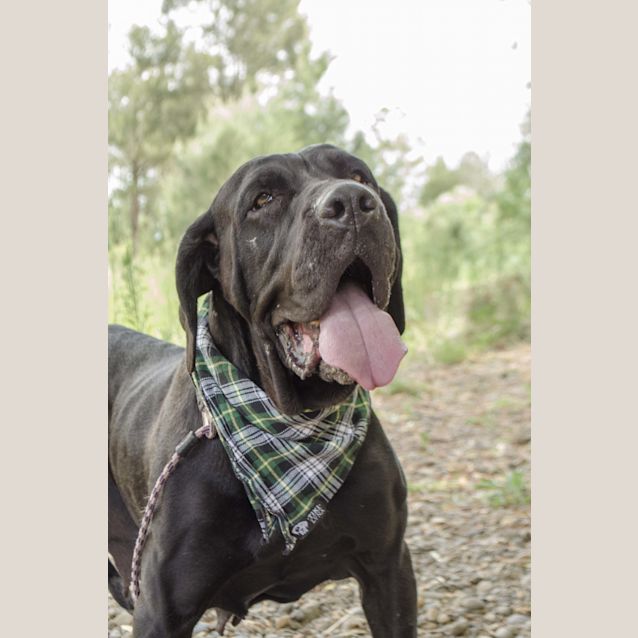 Photo of Macy 