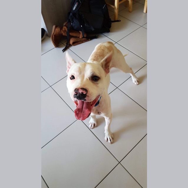 Photo of Wally