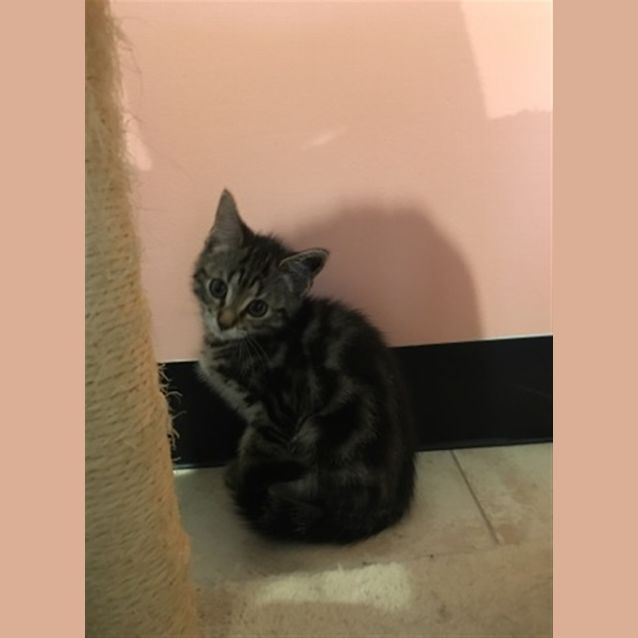Photo of Betty