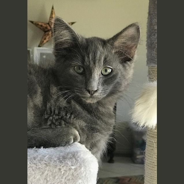 Photo of Tyrion