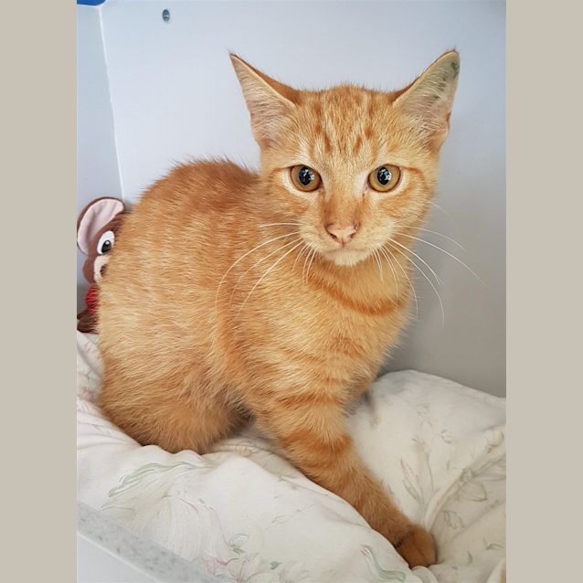Photo of Jasper