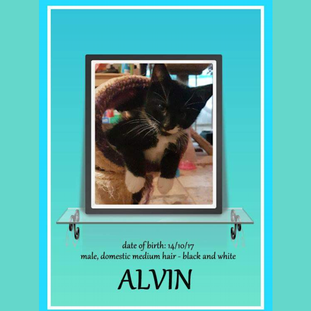 Photo of Alvin