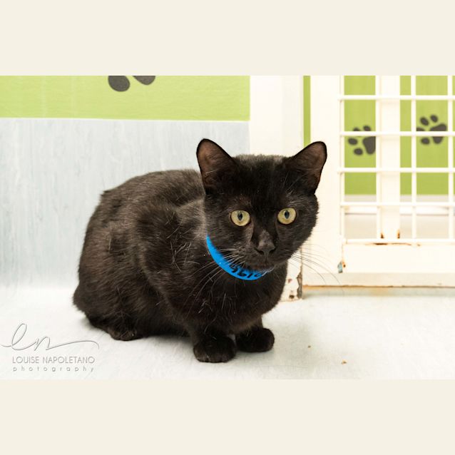 Photo of Coltrane (0196)