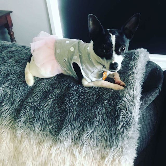 Photo of Tilly