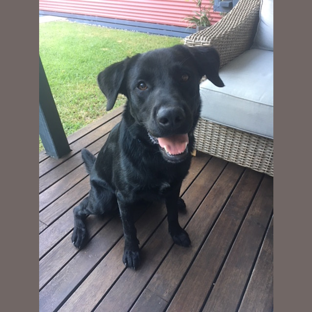 Photo of Jax