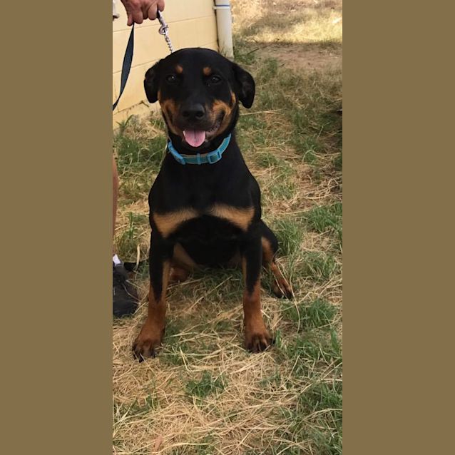 Photo of Narla