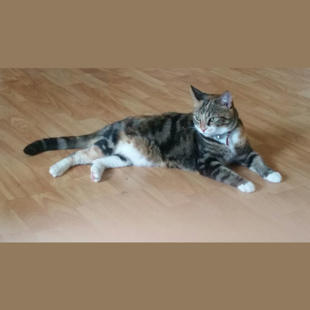 Photo of Tiggy