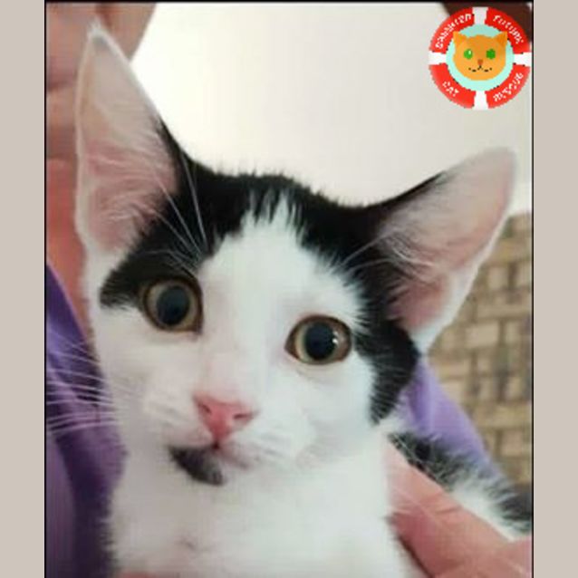 Photo of Eenie