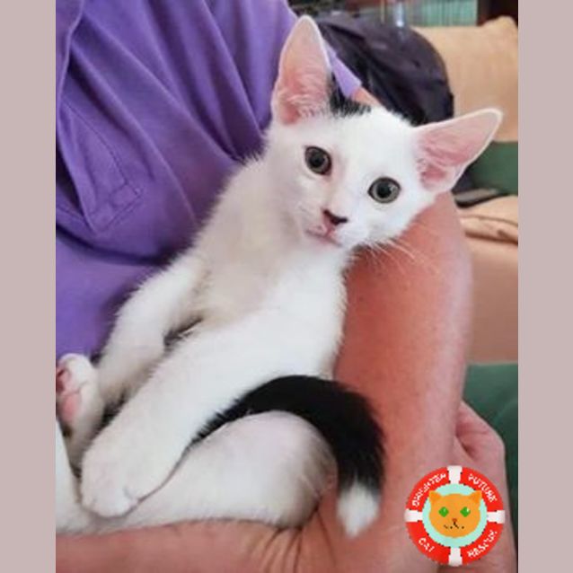 Photo of Minee
