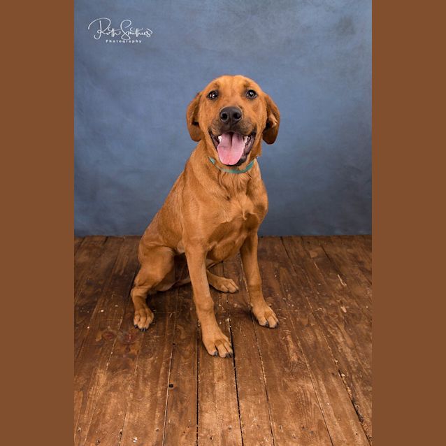 Photo of Carly Ed0134