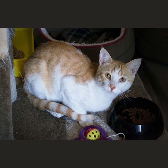 Photo of Clyde