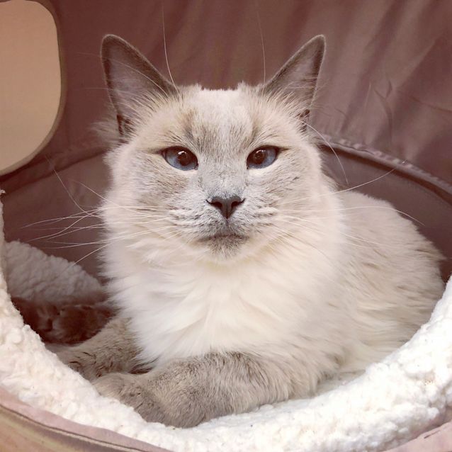 Photo of Sophie