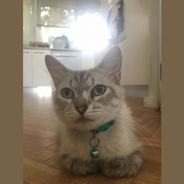 Photo of Hermoine