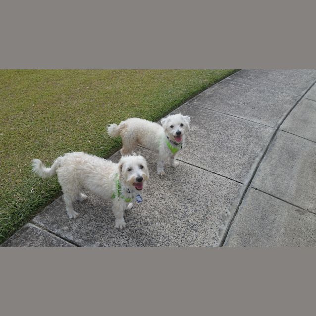 Photo of Sugar And Sparkle