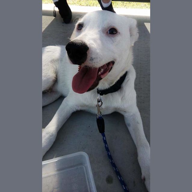 Photo of Casper