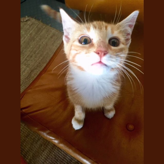 Photo of Evelyn