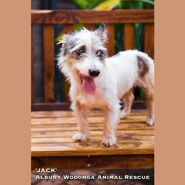 Photo of Jack