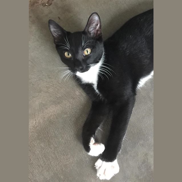 Photo of Mr O'malley