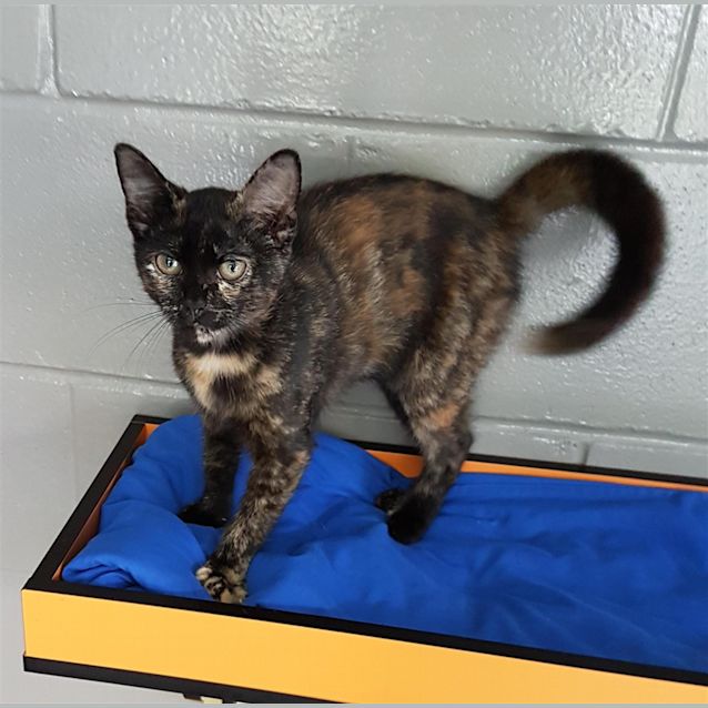 Photo of Squiggle