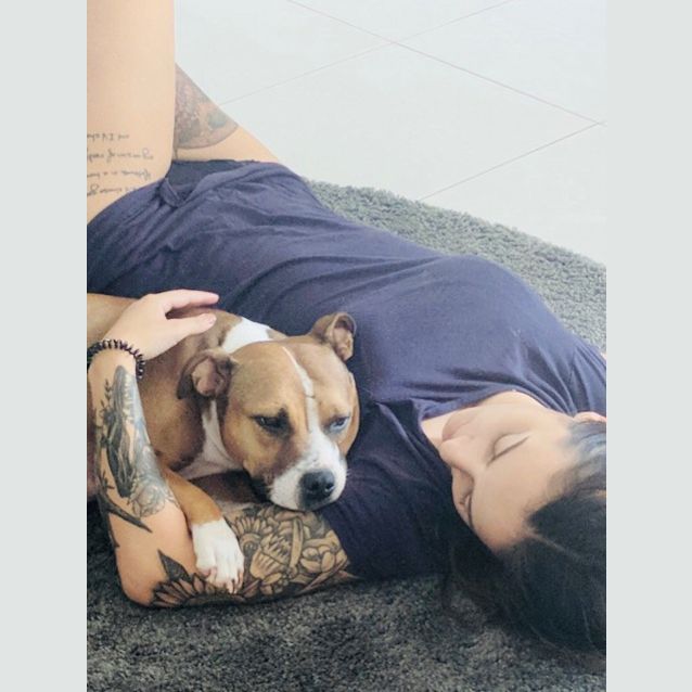 Photo of Porsche **Adoption Pending**