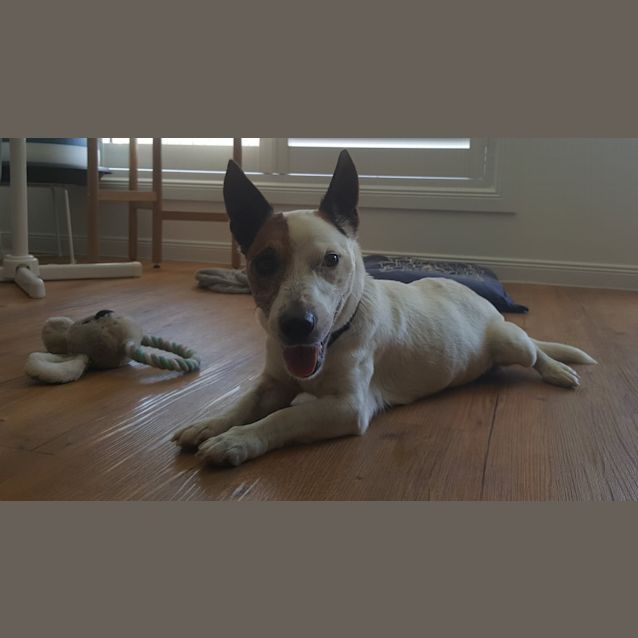 Photo of Little Jerry 