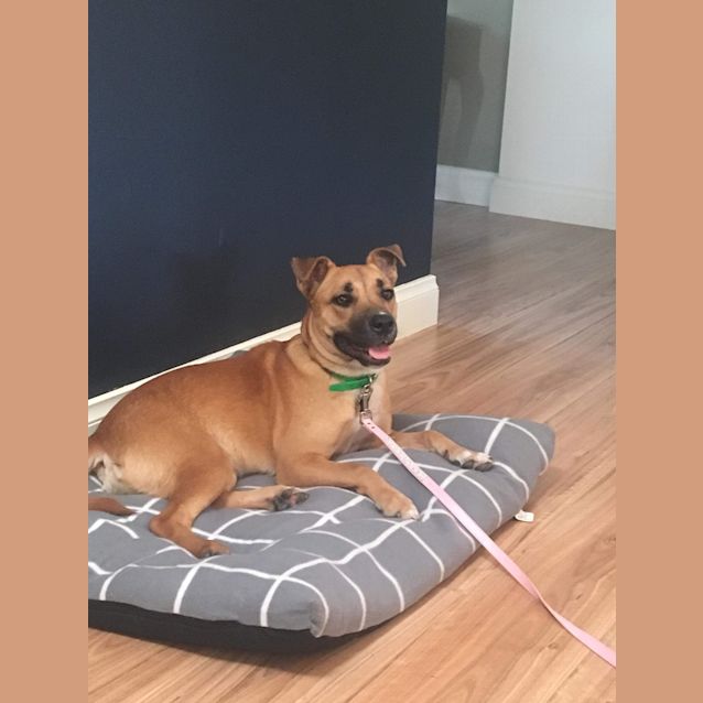 Photo of Bridie