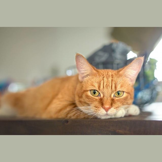 Photo of Meg 