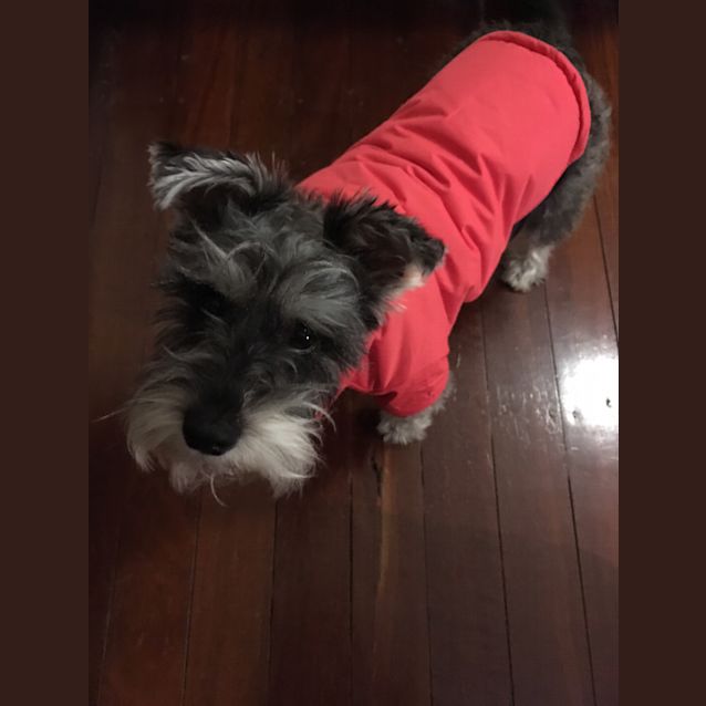 Photo of Fritz And Freda