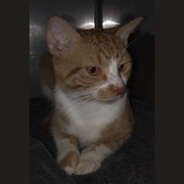 Photo of Ernie