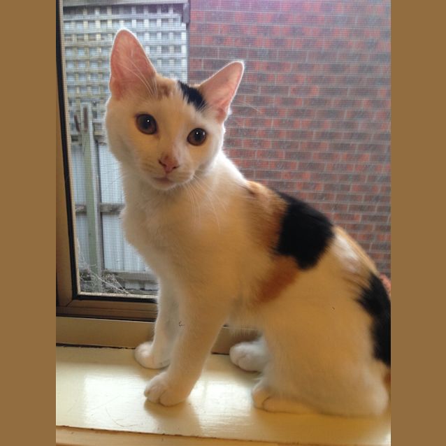 Photo of Penelope