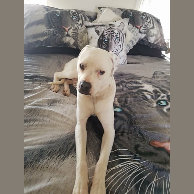 Photo of Buddy