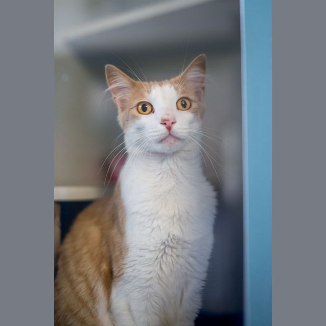 Photo of Hugo