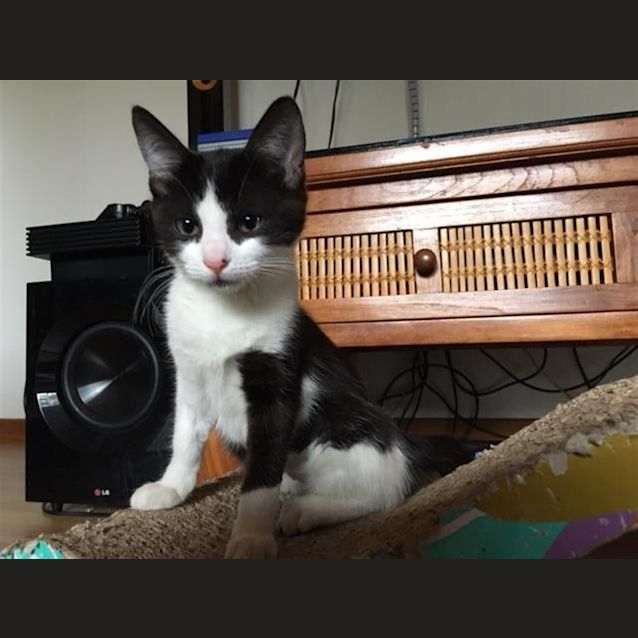 Photo of Saint(now Maggie)